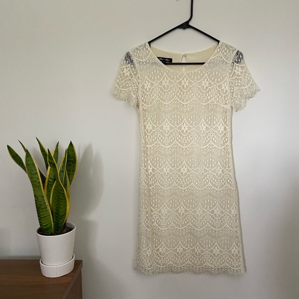 Alex + Alex Ivory Lace Shift Dress